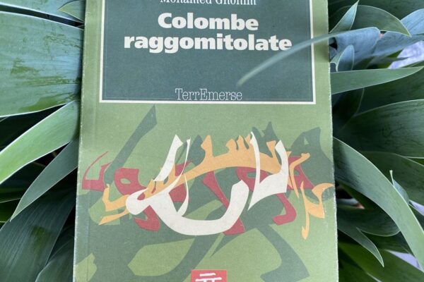 Recensione “Colombe Raggomitolate”